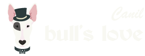 logo-canil-bulls-love